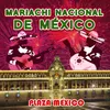 About Plaza México Song