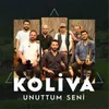 About Unuttum Seni Song