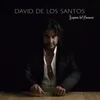 Suspiros del Flamenco (Tangos)