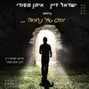 About ימים של נחמה Song