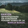 Improvisations on Hungarian Peasant Songs, Op. 20, Sz. 74: I. Molto moderato