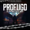 About Profugo Song