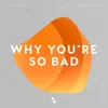 About Why You're so Bad Song