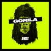 Gorila Radio Edit