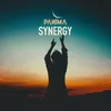 About Synergy Song