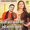 About Sali Baat Sunle Meri Tanne Agra Ghumadu Song