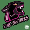 About Pink Panthers Song