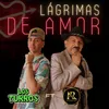 About Lagrimas de Amor Song