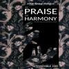 In Praise of Harmony: II. Aria Andante allegro