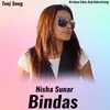 About Bindas Song
