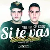 About Si Te Vas Remix Song