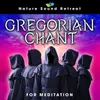 Gregorian Chants - 432Hz Healing Music (Loopable)