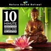 About Peaceful Hanging Drum Meditation (Loopable) Song