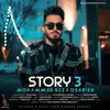 About Story 3 Song