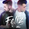 About Feliz Remix Song