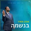 About בנשמה Song