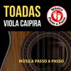 Chico Mineiro - Viola Caipira