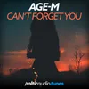 About Can't Forget You Song