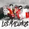 About LOS MALVEKES GUARACHA REMIX Song