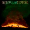 About Sequidão Song