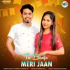 About Tu Banja Meri Jaan Song