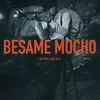 About Bésame Mucho Song