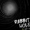 About Rabbit Hole Limited Edition Song