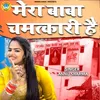 About Mera Baba Chamatkari Hai Song