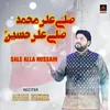 About Sale Alla Hussain Song