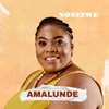About Amalunde Song