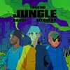 About Jungle Song