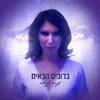 About ברוכים הבאים Song