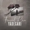 About Yadegari Song