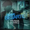 About Déjame Besarte Song