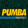 About Freestyle 2 Song