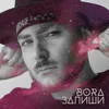 About Залиши Song