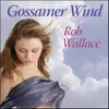 About Gossamer Wind Song