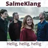 About Hellig, hellig, hellig Song