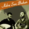 About Adın Sen Bahar Song
