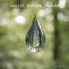 Rain nature sound (Laurent & Nielsen home, Denmark)