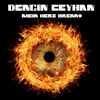 About Mein Herz Brennt (Arr. for Piano by Dengin Ceyhan) Song