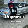 Роуминг