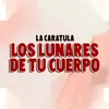 About Los Lunares de Tu Cuerpo Song