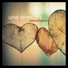 About Love of My Life Song