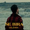 About Dılêmın Song