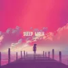 About Sleep Walk Song