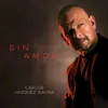 About Sin Amor Song