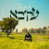 About יש בך הכל Song