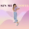 About Sin Mi Song