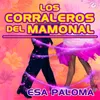 About Esa Paloma Song